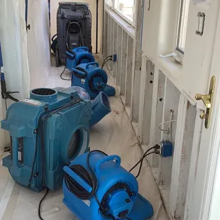 mold remediation for a water leak