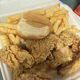  a sandwich and french fries