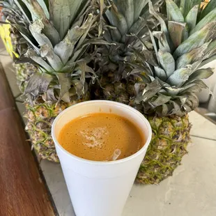 100 Percent Juice Bar