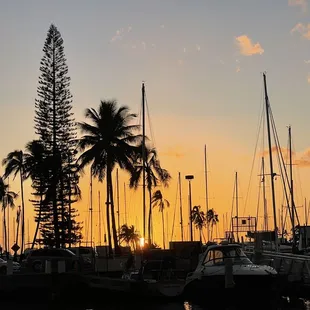 Strolling by the harbor to 100sails