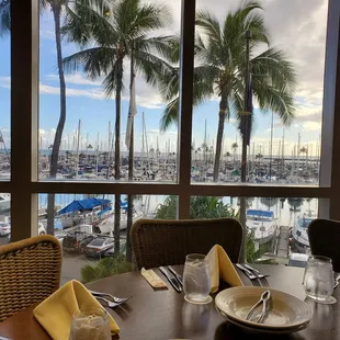 Early dinner &amp; a view.