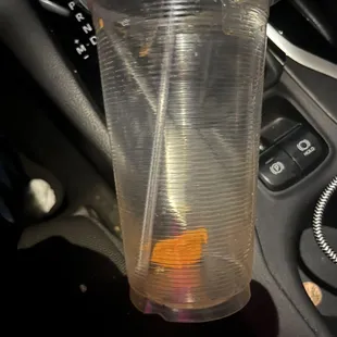 Sitting at the bottom of the cup, still trying to figure out what this could be. Grossed out. Was it clean when it went in there? Or dirty?
