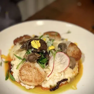 a plate of food