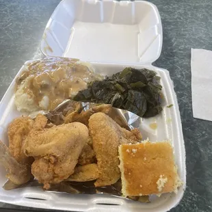 Look at those wings!