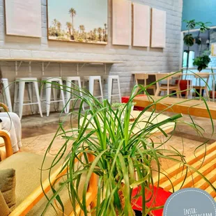 Place to chill or study