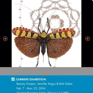 Current exhibition out of this world!!!