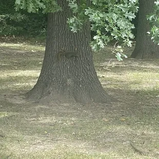 10th Avenue Park