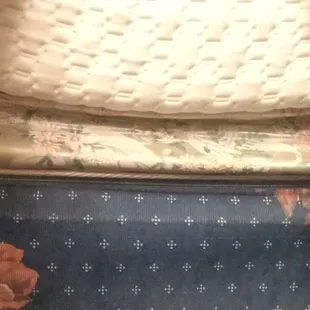 Chiropractor needed!