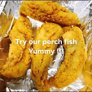 Perch Fish