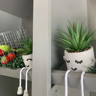 Two cuties hanging out in the shop!