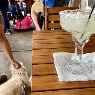 Cheerful ambiance, dogs welcome both outside and in