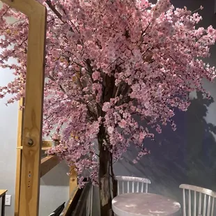 Cherry tree inside