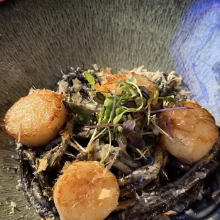 Squid Ink Pasta