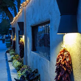 curry, outside