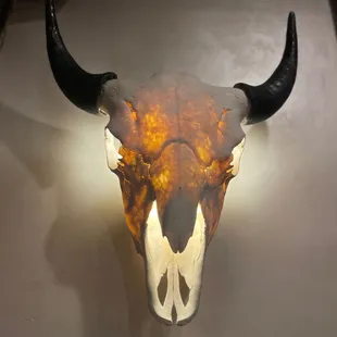 Light fixtures