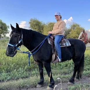 12 Mile Stables