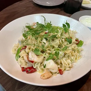 Maradi Gulf Shrimp Pasta