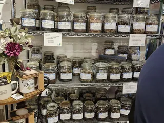 The Blueberry Patch