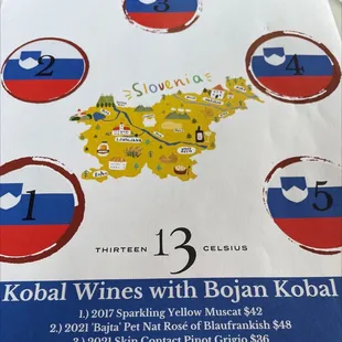 Slovenian wine tasting