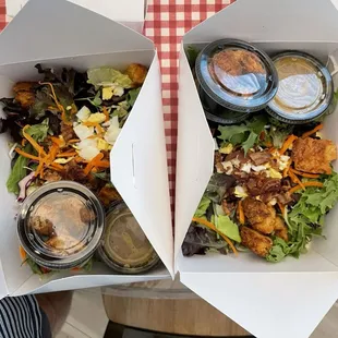 TO-GO Main Salad add Fillet Medallions