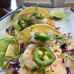 Grilled Shrimp Tacos