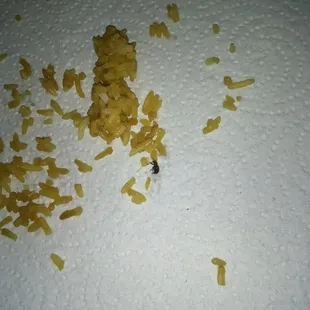 a small insect eating pasta