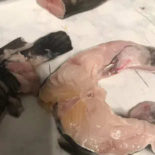 fish on a counter top