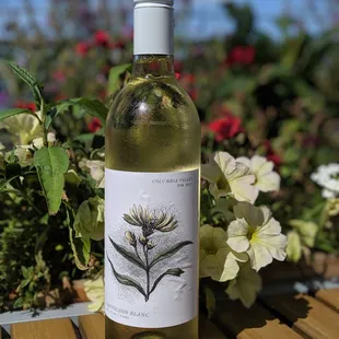 September Wine of the Month - 2017 Wautoma Springs Sauvignon Blanc