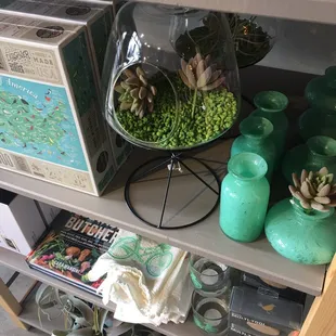 They have the cutest air plants and terrariums.