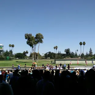 Caber toss competition