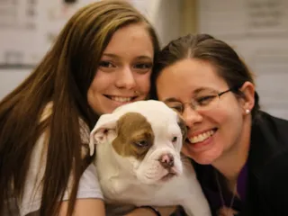 Veterinary Associates