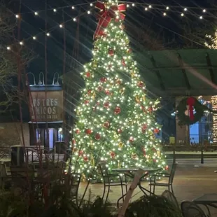 Tree outside
