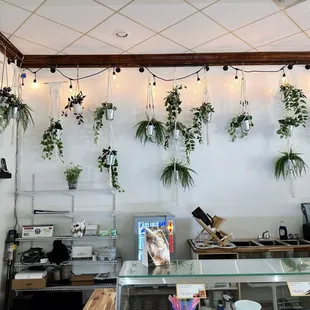 the interior of a coffee shop