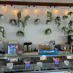 Cute decor behind bar
