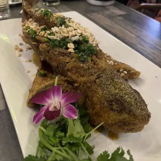 Red Fish
