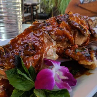 Red Snapper