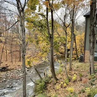 View from lower patio