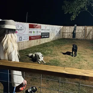 A dog park available for your fur friends to run out some energy.