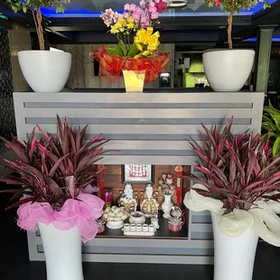 a display of flowers and plants