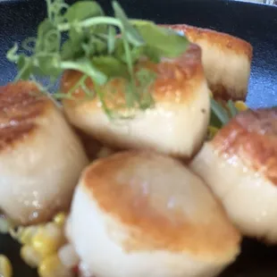 Amazing scallops