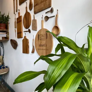 a potted plant in front of a wall of kitchen utensils