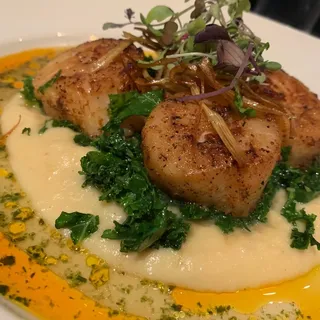 Seared Scallops