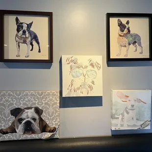 a dog sitting on a bench in front of paintings