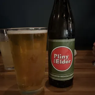 Pliny the Elder