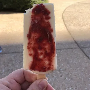 Gourmet popsicle
