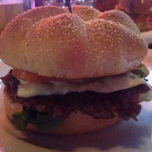 Single burger with jack cheese