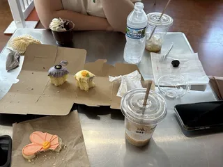 Anodyne Coffee Roasting Co - Public Market