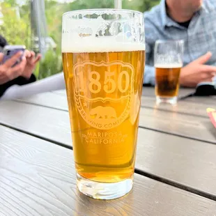 Trailblazer IPA