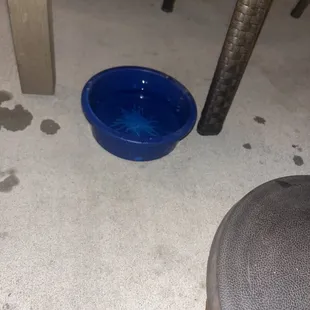Doggie water bowl
