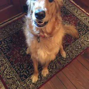 He's such a beautiful and friendly guy!